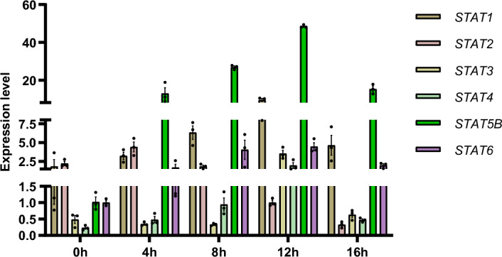 Figure 5