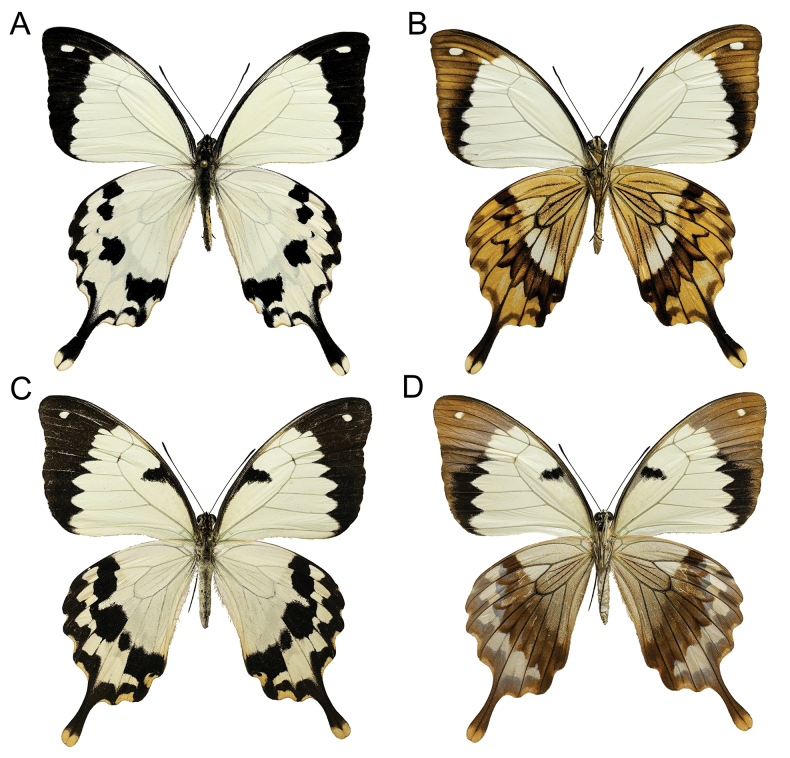 Figure 5