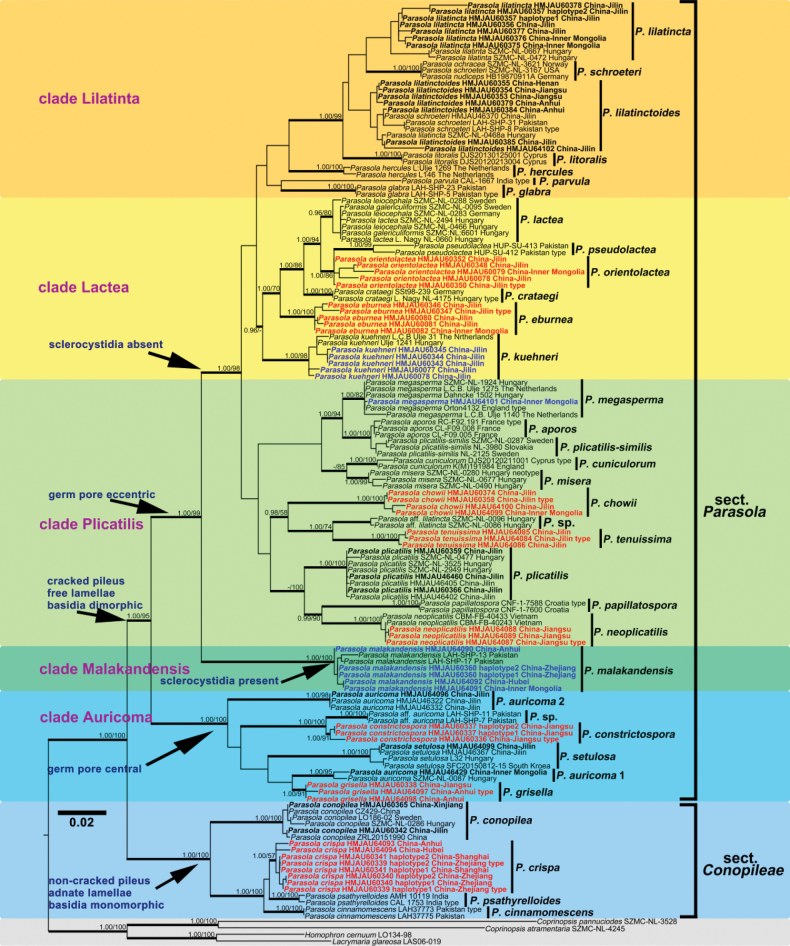 Figure 2