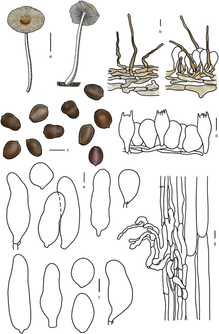 Figure 9