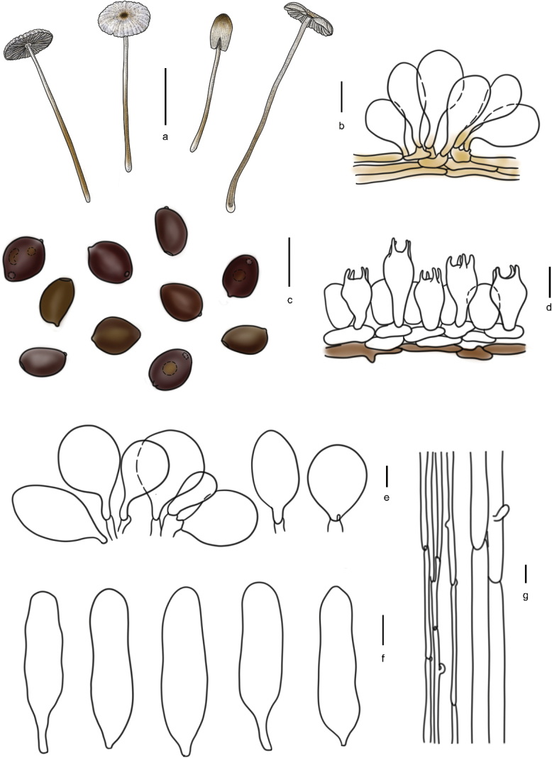 Figure 13
