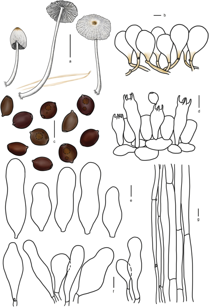 Figure 14