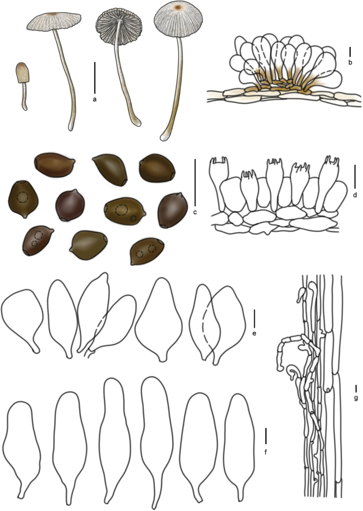 Figure 15
