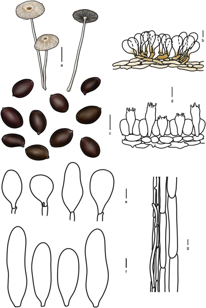 Figure 16