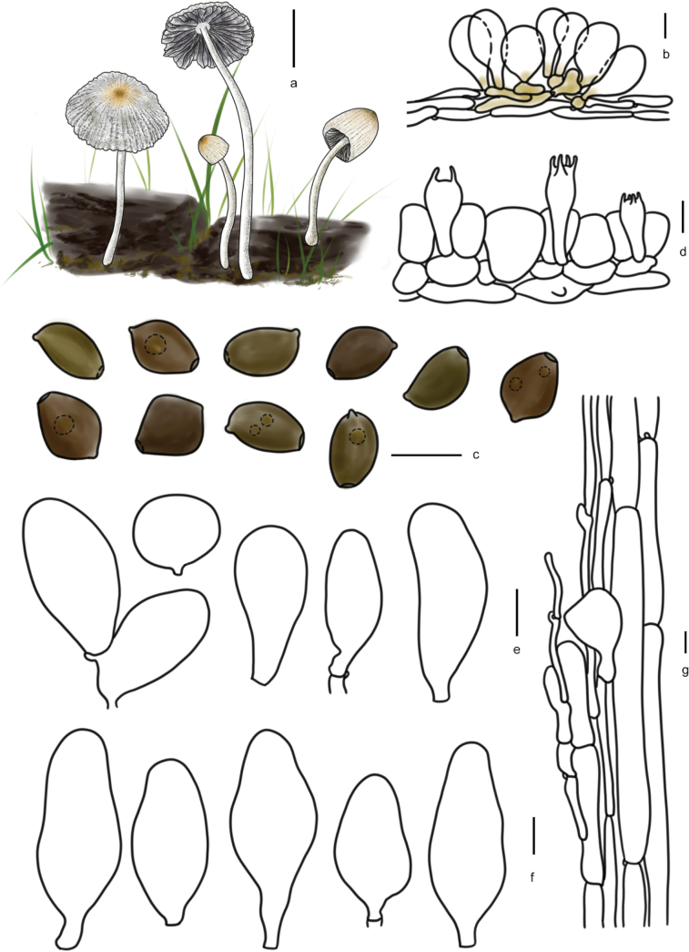 Figure 18