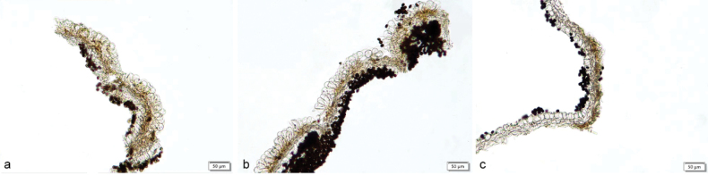 Figure 23