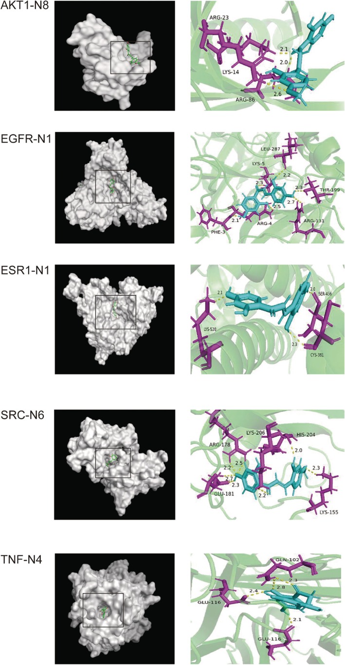 FIGURE 10