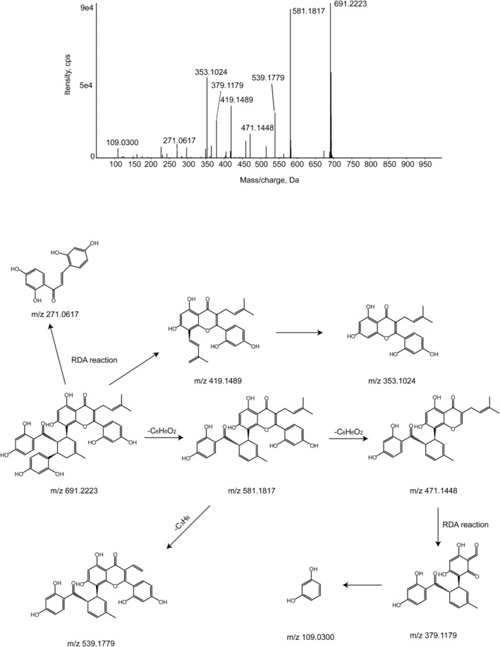 FIGURE 3