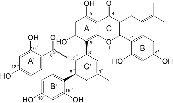 FIGURE 1