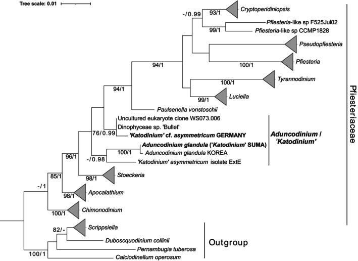 FIGURE 3