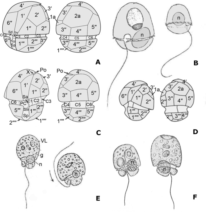 FIGURE 4