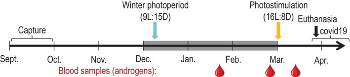 FIGURE 1