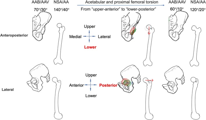 FIGURE 2