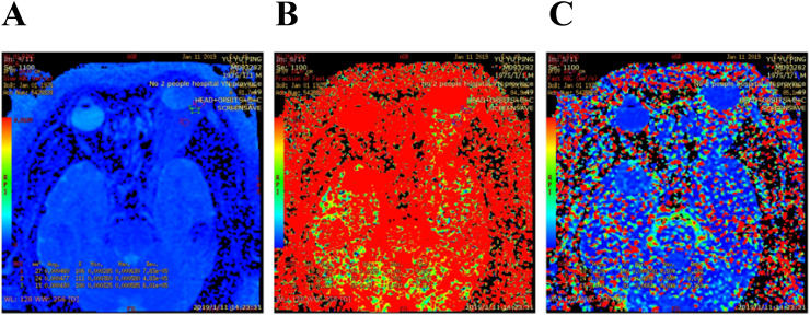 Figure 2