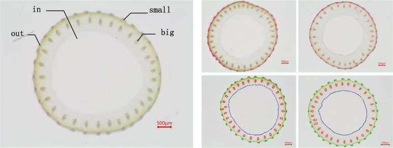 Figure 3