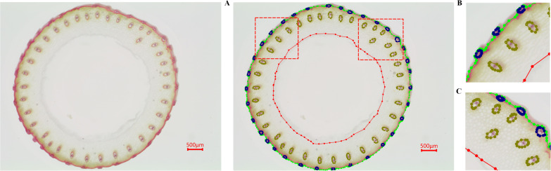 Figure 4