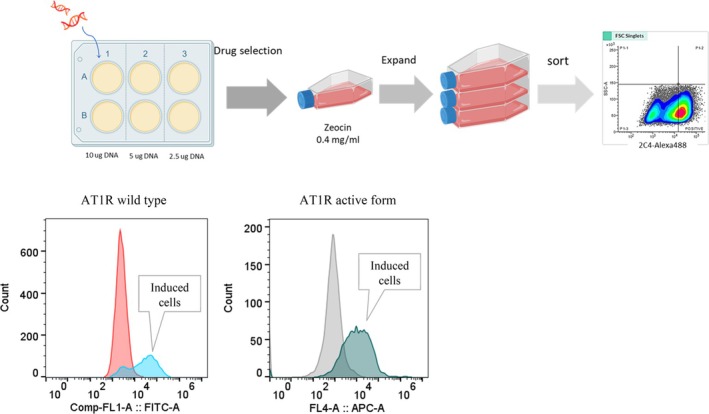 FIGURE 3
