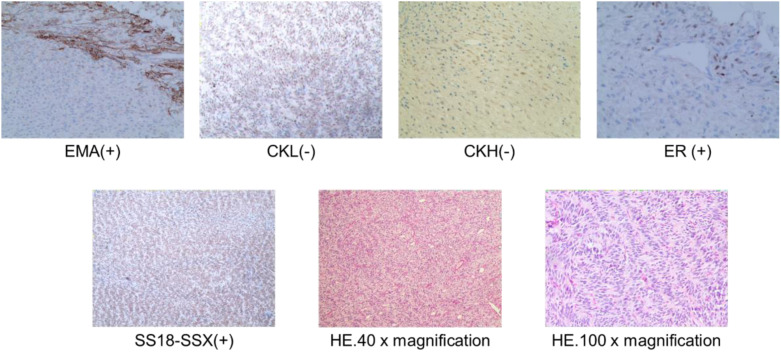 Figure 5