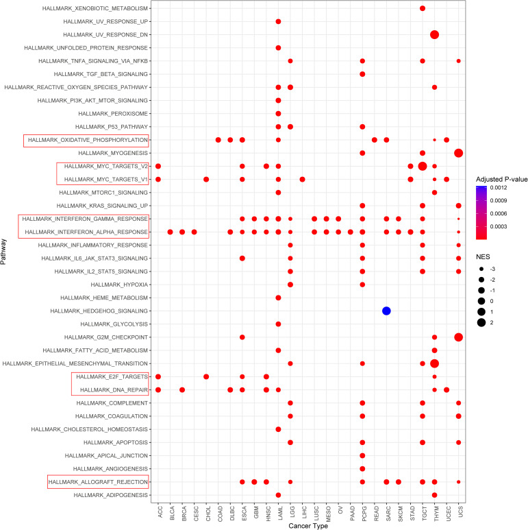 Figure 6