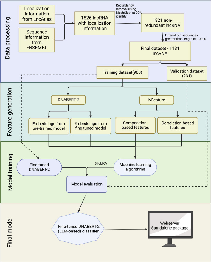 FIGURE 2