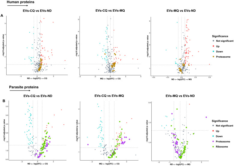 Figure 6