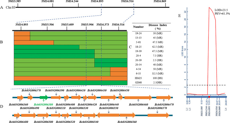 Figure 3