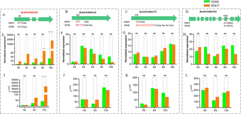 Figure 4