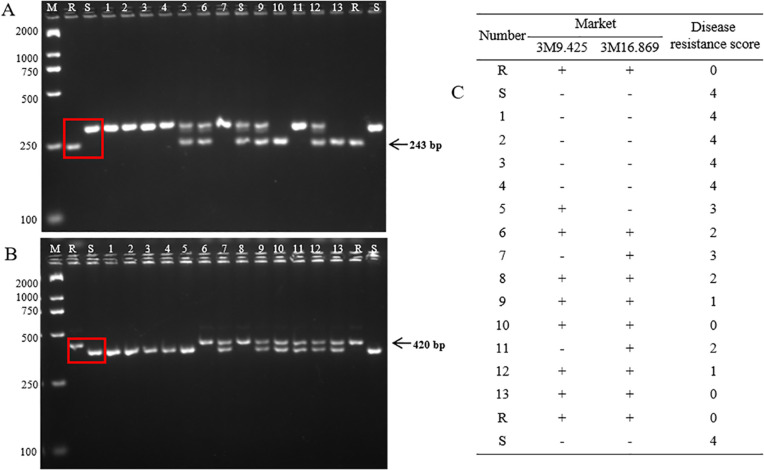 Figure 7