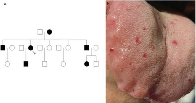 FIGURE 1