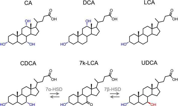 FIGURE 1