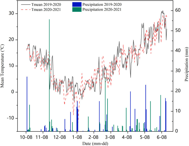 Figure 2
