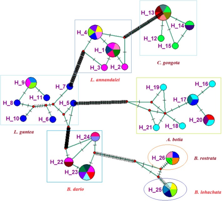 FIGURE 9