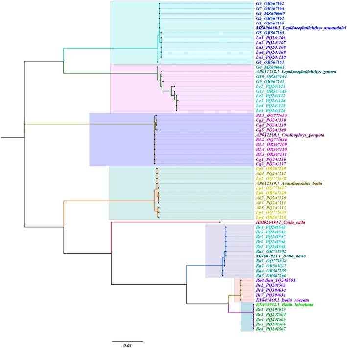 FIGURE 6