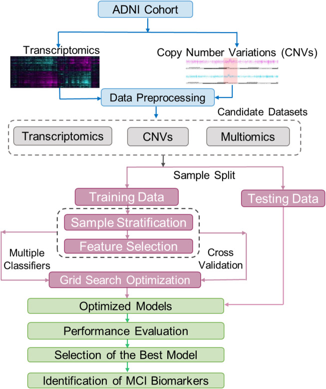 FIGURE 1