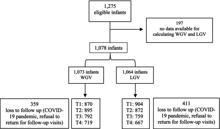 FIGURE 1