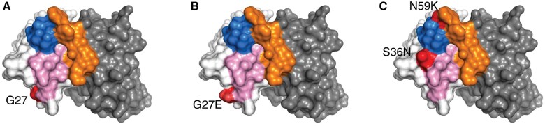 Figure 6