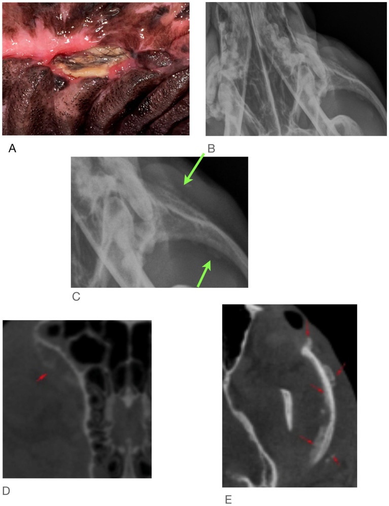Figure 5