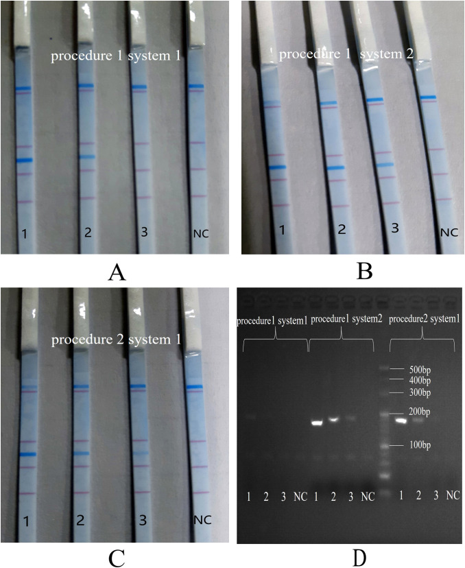 Figure 2