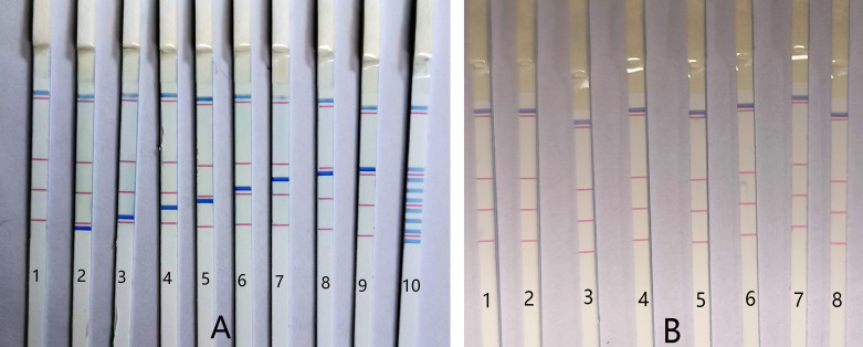 Figure 3