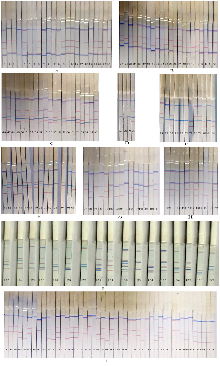 Figure 5