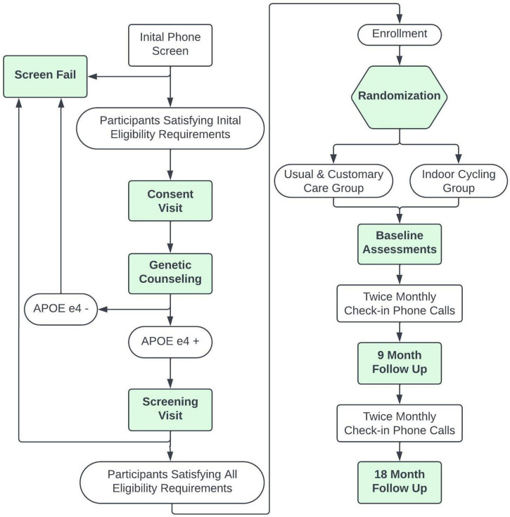 FIGURE 1