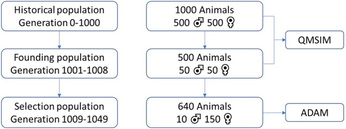 FIGURE 1
