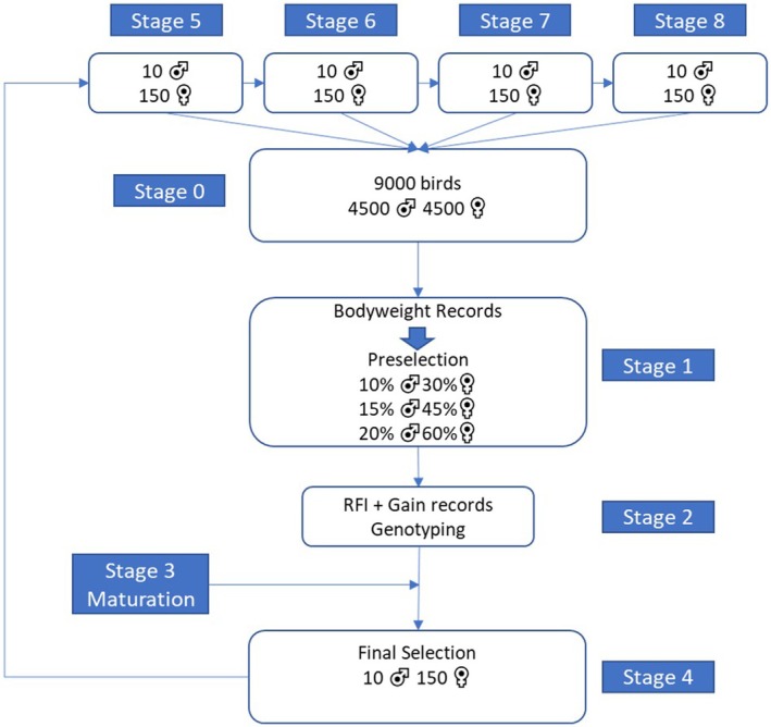 FIGURE 2