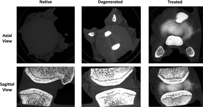 FIGURE 3
