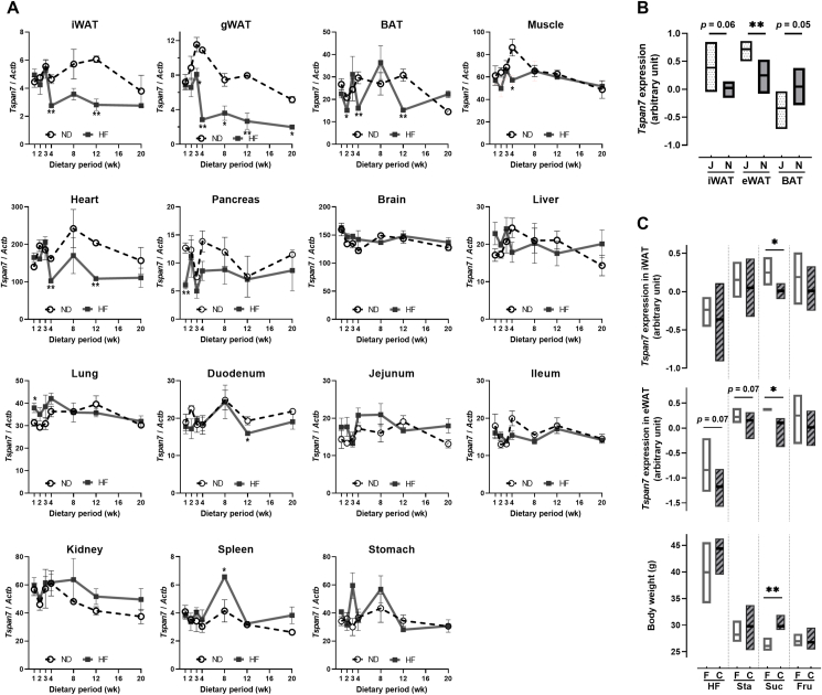 Figure 19
