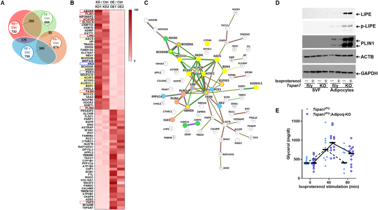 Figure 21