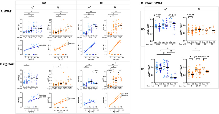 Figure 24