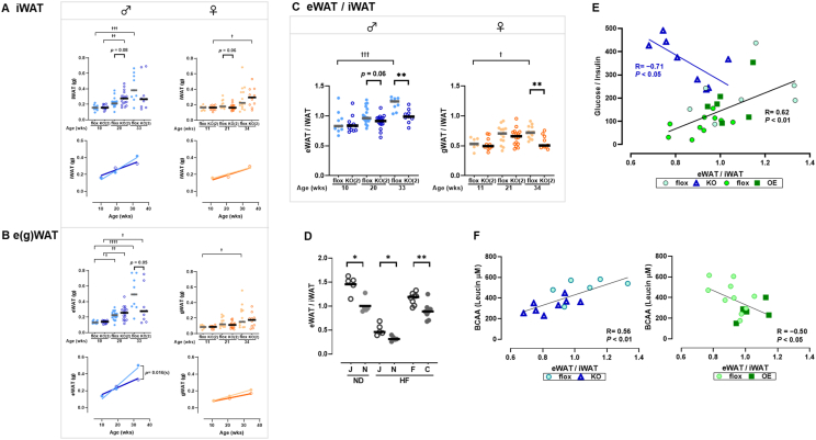 Figure 25