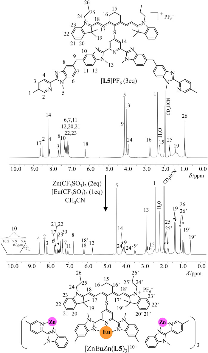 Fig. 3