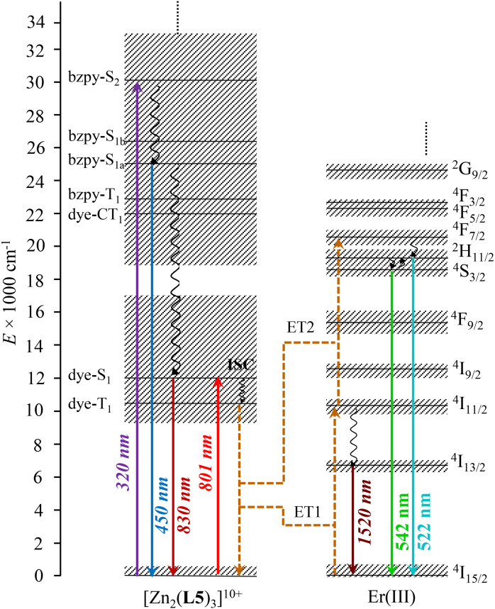 Fig. 6